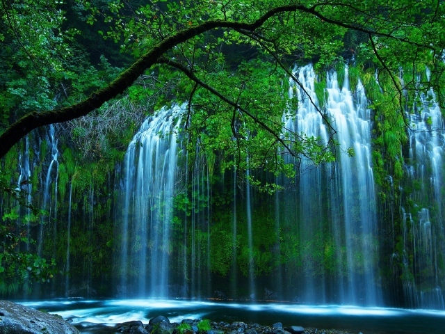 Красивый водопад среди зелени в чаще леса