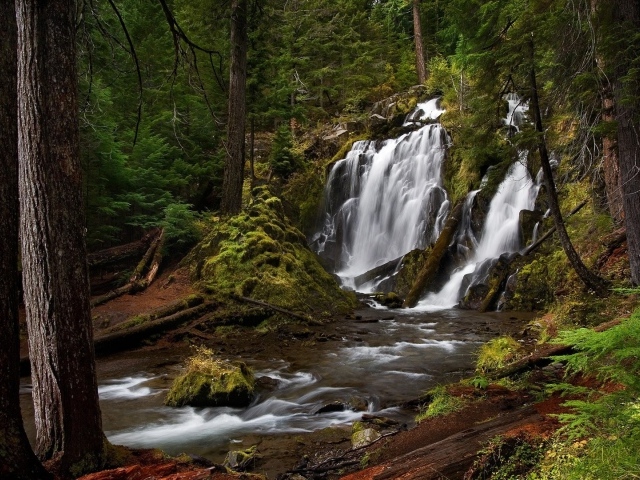 Водопад, скрытый в чаще леса