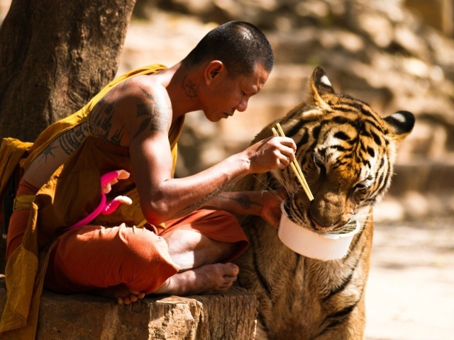 Тибетский монах и его питомец