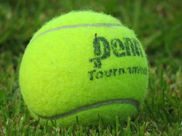 Теннисный мяч на газоне