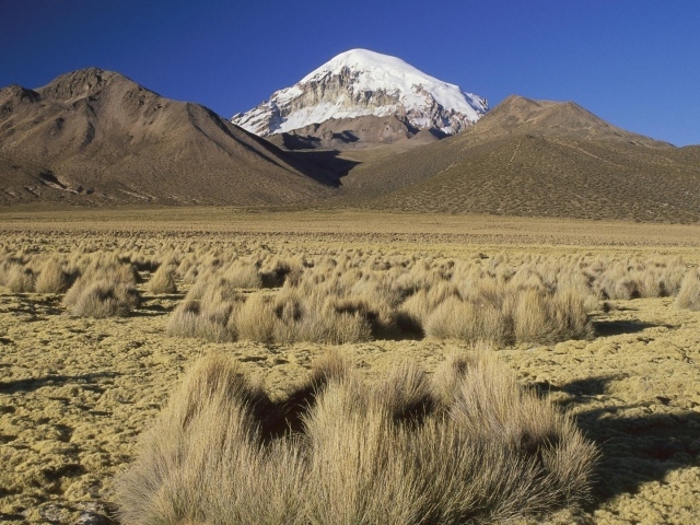 Суровый пустынный пейзаж в Боливии