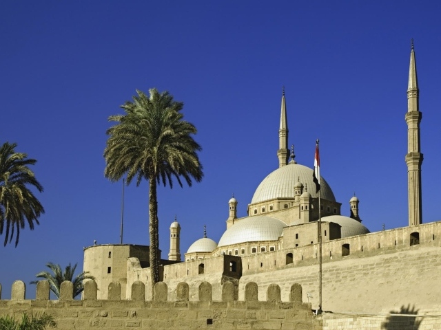 Пальмы во дворе мечети в Египте