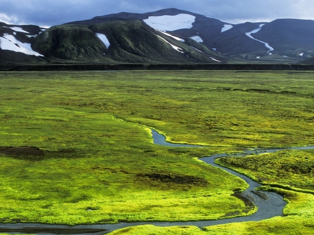 Зеленая равнина в Исландии