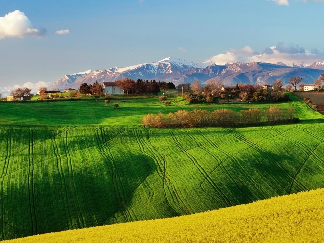 Зеленое поле в Италии