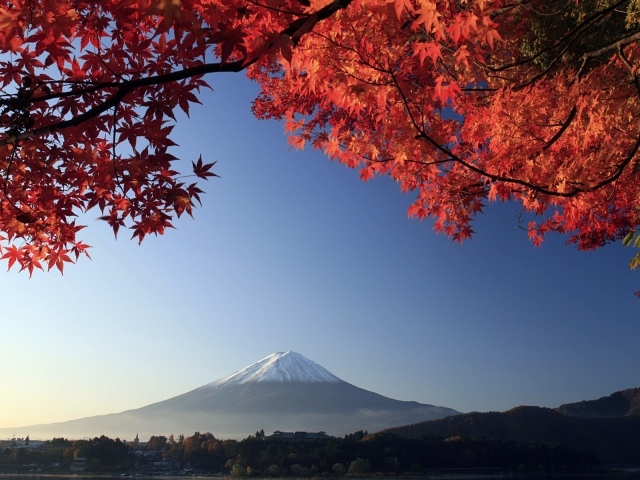Красные кленовые листья на фоне горы Фудзи, Япония