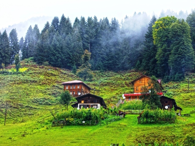 Деревянные дома в горах в Турции
