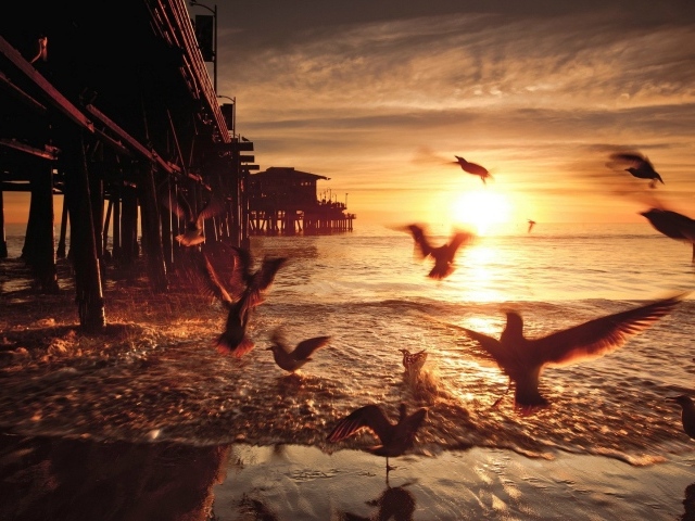 Закат в Санта-Монике. Калифорния, США