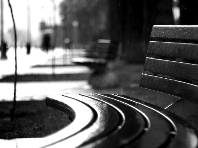 Изогнутая скамья под дождем