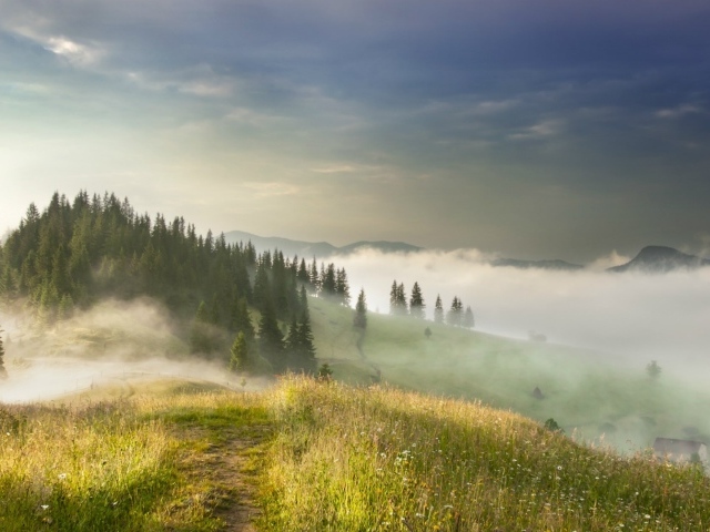 Туман в Карпатах, Украина