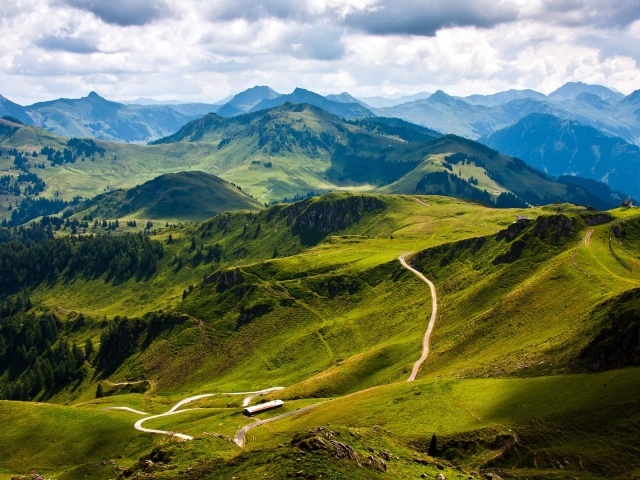 Зеленые склоны гор Карпат