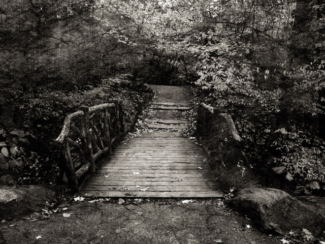 Эффект холста на черно белом фото