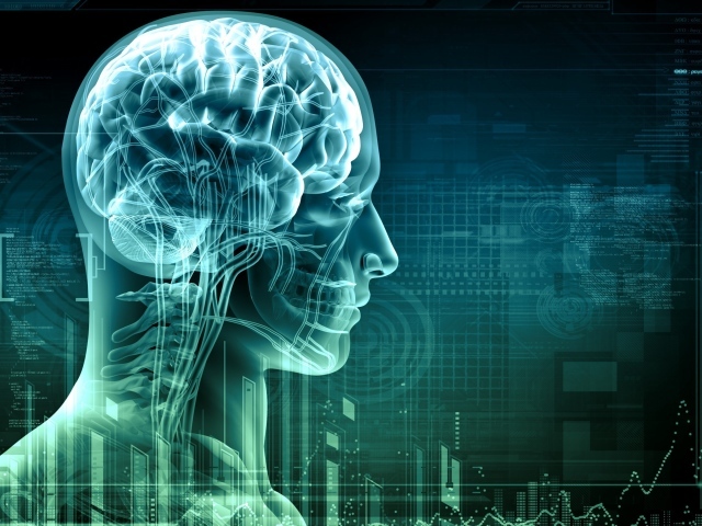 Цифровой снимок мозга человека