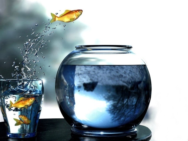 Рыбы прыгают из стакана в аквариум