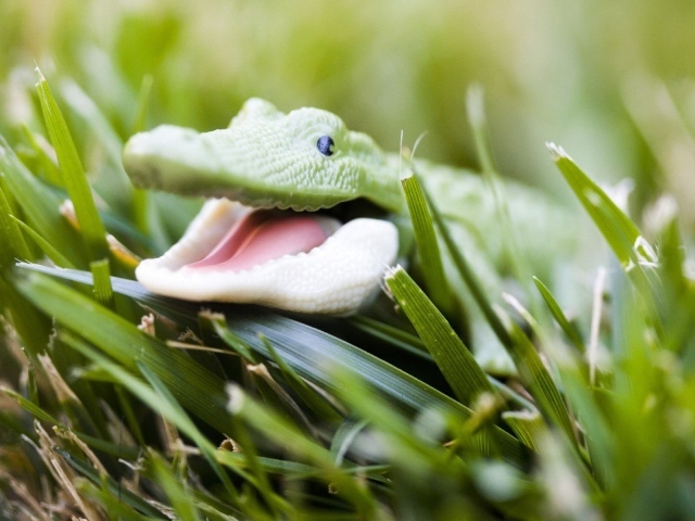 Зеленый крокодильчик в траве