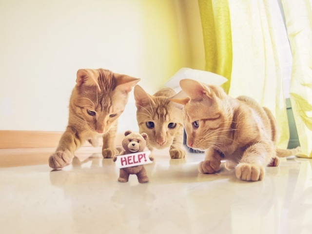 Игрушка просит спасения от котов