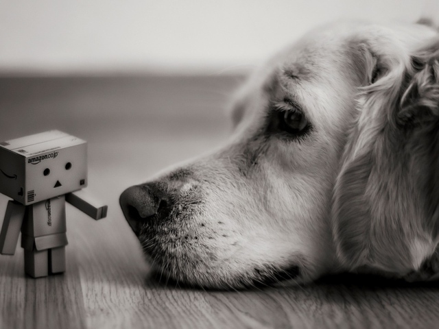 Человек из картона у носа собаки