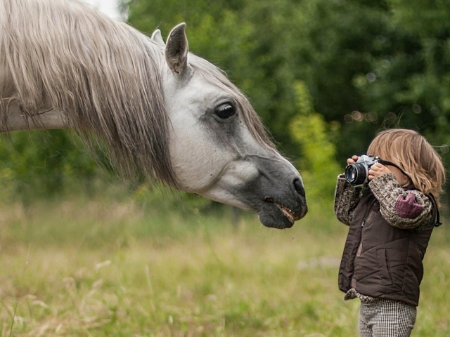 Мальчик фотографирует лошадь