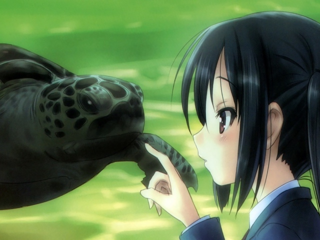 Девушка аниме и черепаха