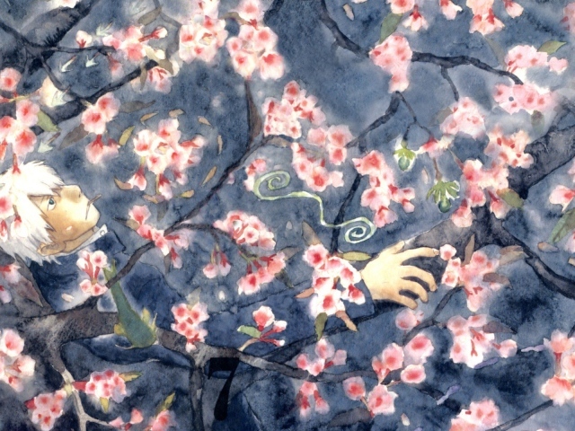 Парень в саду, аниме Мастер Муси