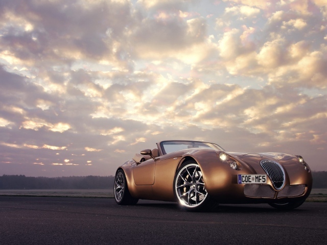 Спортивный коричневый Wiesmann