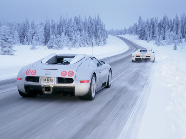 Два белых Bugatti Veyron на заснеженной дороге