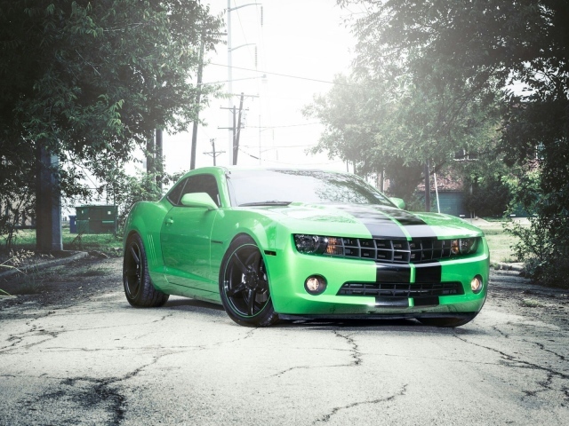 Зеленый Chevrolet Camaro на сером асфальте