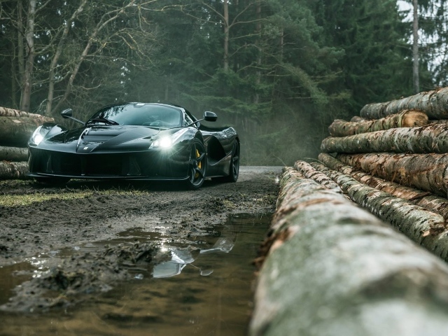 Черный Ferrari LaFerrari на лесоповале