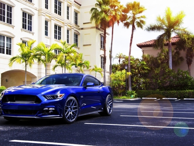 Синий Ford Mustang у дома с пальмами