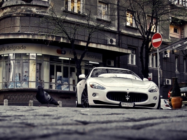 Maserati на улице в Белграде