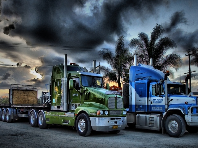 Тягачи на фоне пальм