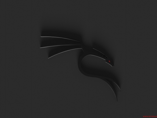 Черный дракон Kali Linux