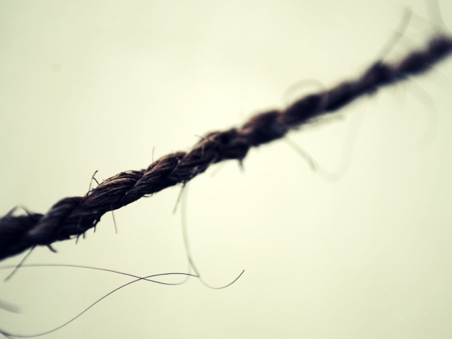 Черная веревка на белом фоне