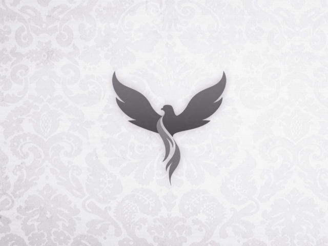 Серый феникс на светлом фоне