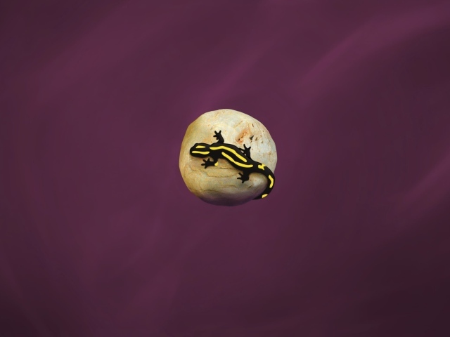 Ящерица на камне, фиолетовый фон