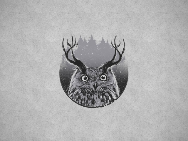 Сова с рогами, серый фон