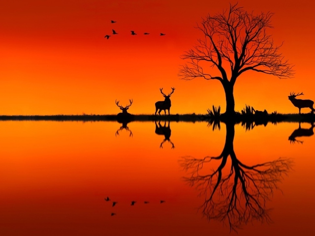 Силуэты оленей на оранжевом фоне