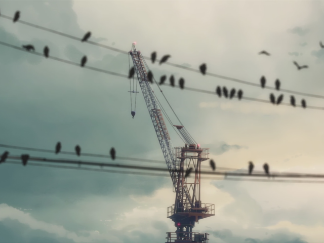 Птицы сидят на проводах на фоне строительного крана