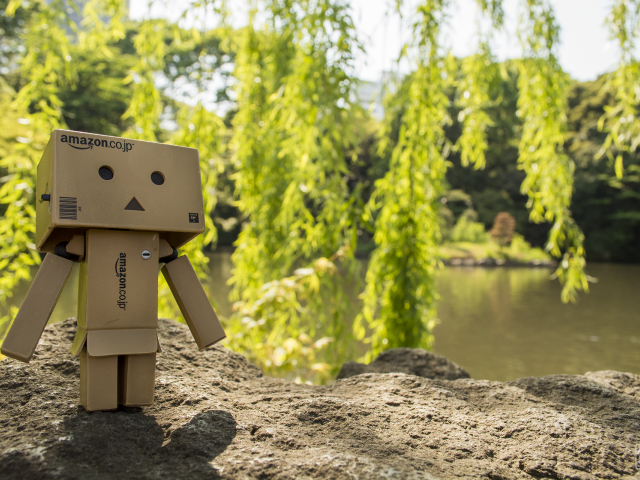 Дандо на земле в саду