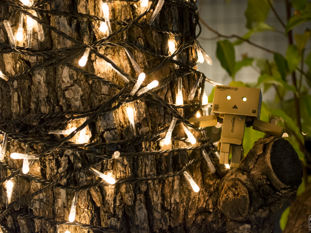 Дандо на дереве