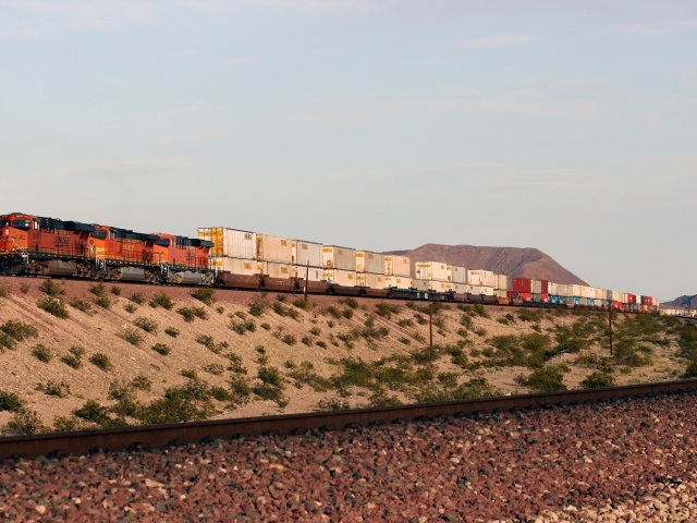 Грузовой поезд перевозит контейнеры