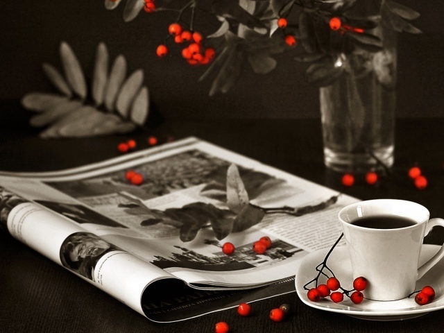 Ягоды рябины на столе и журнале