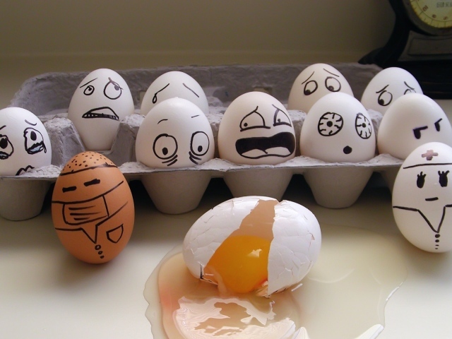 Катастрофа у яиц