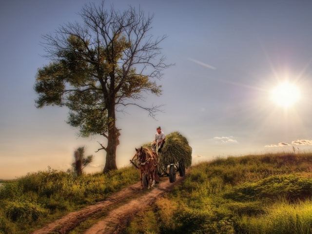 Крестьянин везет сено на телеге