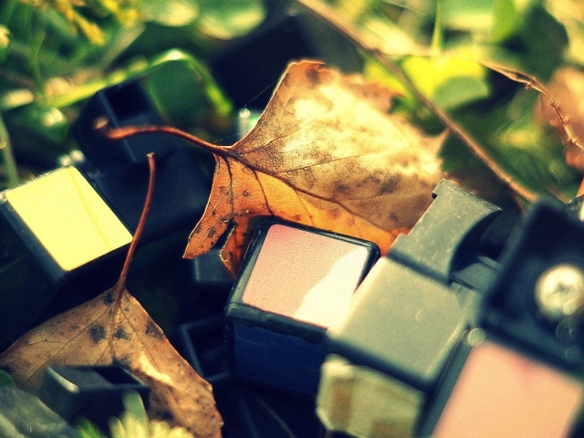 Обломки от кубика Рубика лежат среди листьев