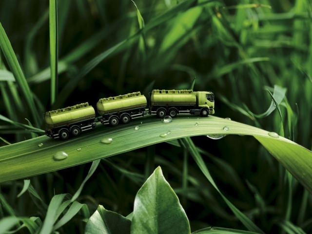 Игрушка на траве