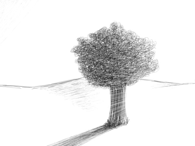 Дерево в пустыне, рисунок карандашом