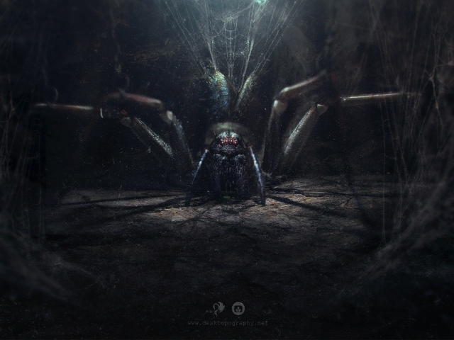 Огромный паук в своем логове