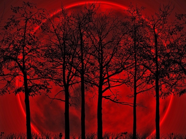 Кровавая луна позади деревьев