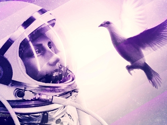 Космонавт смотрит на птицу