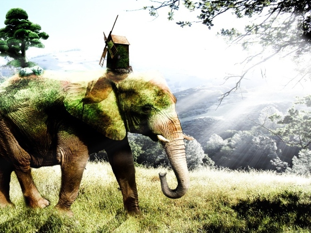 Покрытый мхом слон